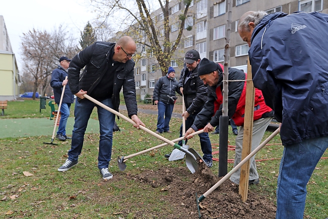 faultetes_gyori_kapui_kapuzorgetok_181119_ja_4.jpg