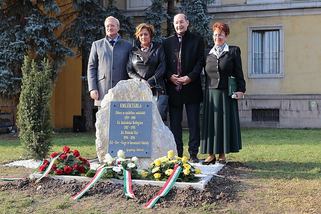 ferenczy_nap_megyei_181114ml_30.jpg
