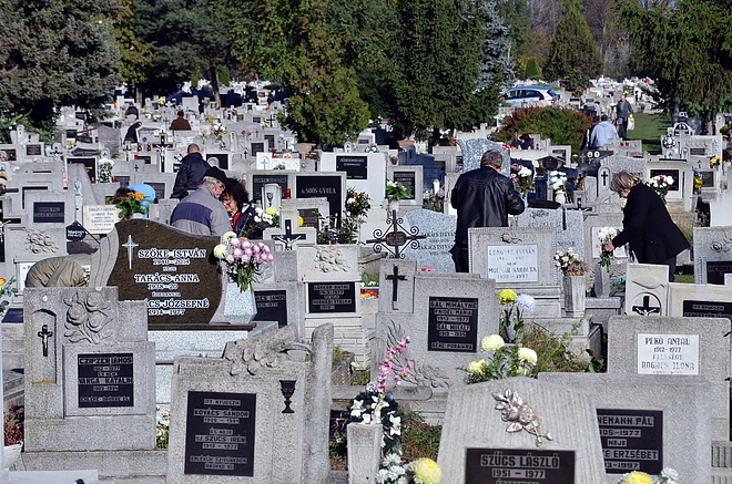 temeto_161030_vcs_05.jpg