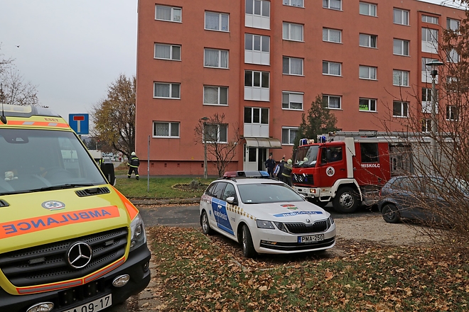 tuzolto_galffy_181119_ja_3.jpg
