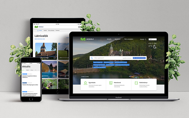web-showcase-project-presentation.jpg