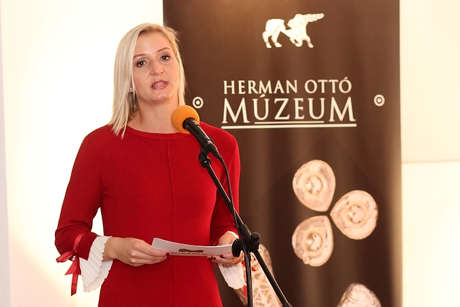 muzeumi_evertekelo_181216ml_19.jpg