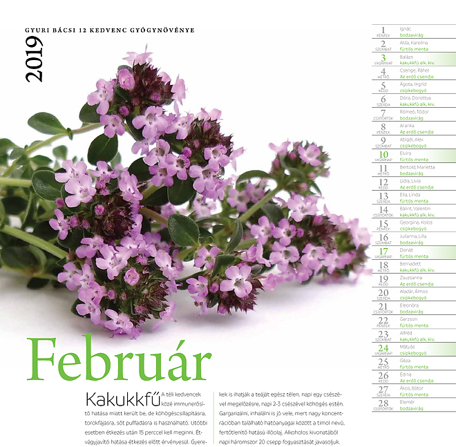 falinaptar2019.jpg