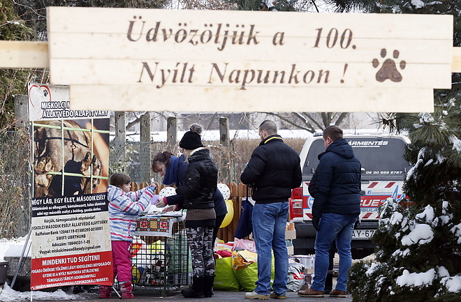 nyilt_nap_allatmenhely_190126_vcs_22.jpg