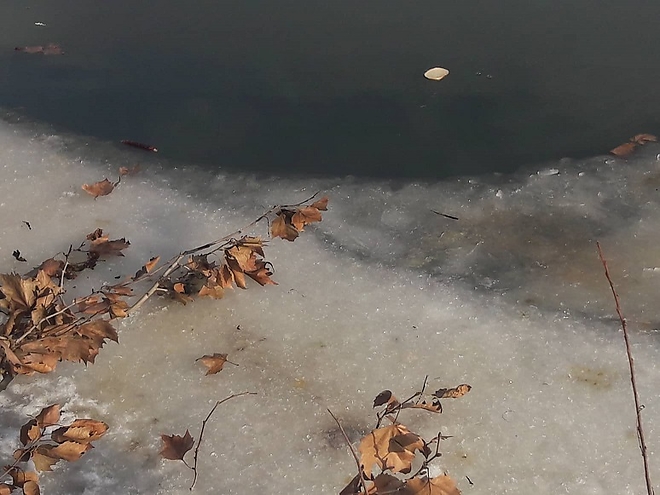 tacsko_mentes_tisza_rendorseg_1.jpg tacsko_mentes_tisza_rendorseg_1.jpg