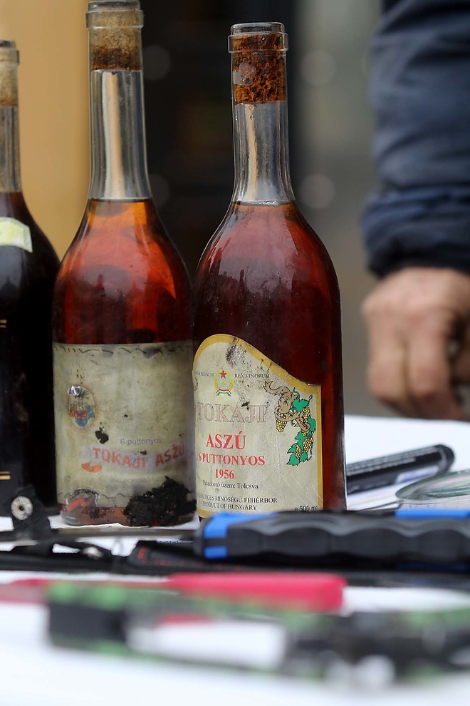 regisegvasar_190203_ja_14.jpg