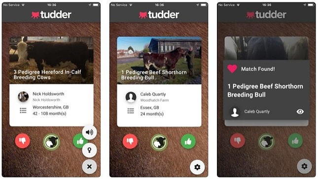 tudder.jpg