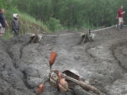 gyulamotor1.jpg