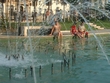 hoseg2.jpg