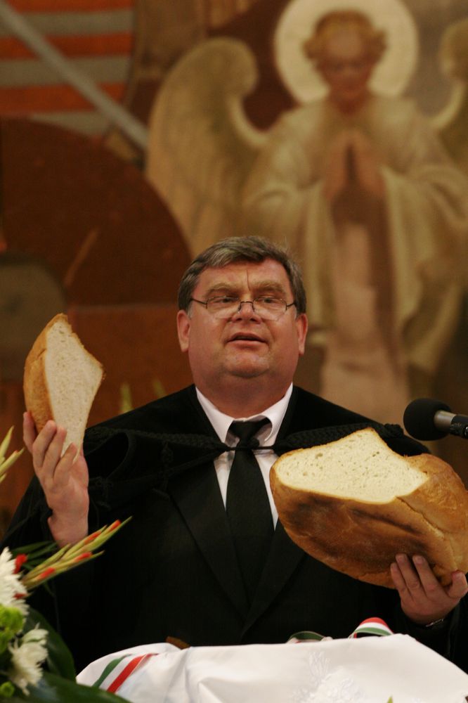 istvanujkenyer.jpg