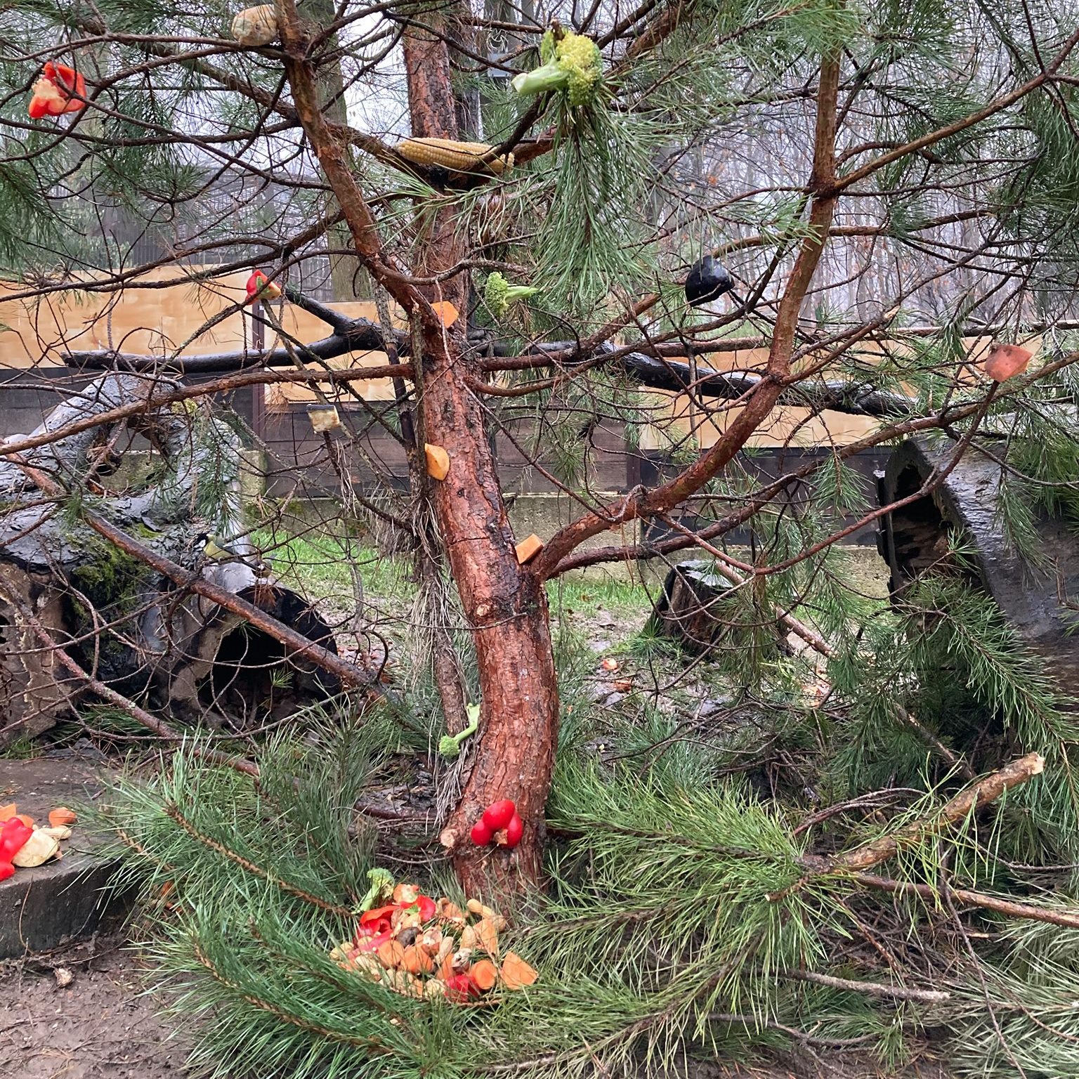 Terülj-terülj asztalkám