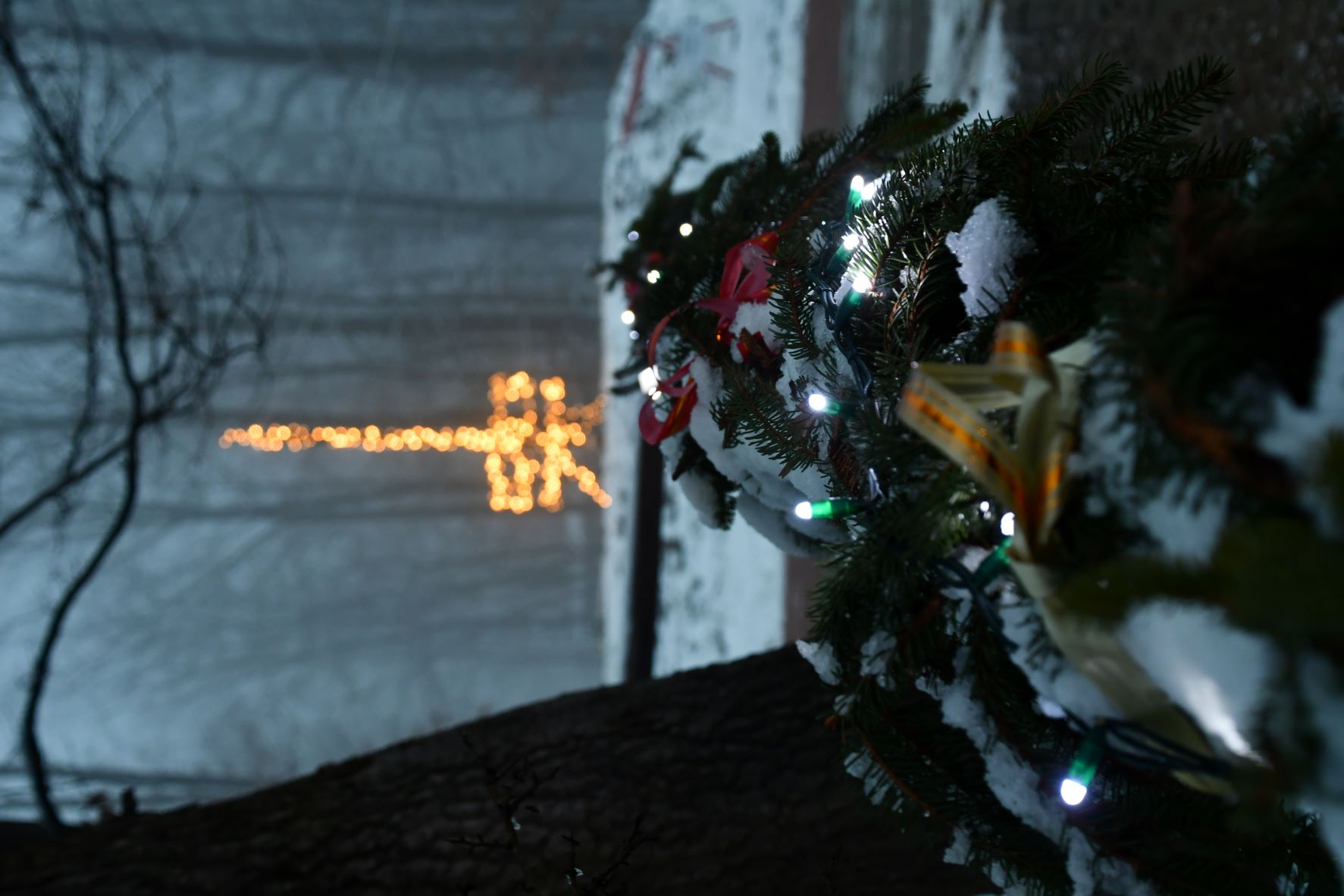 Állatkert fényséta