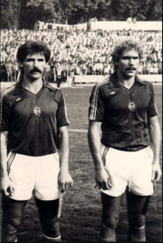 Kutasi és Tatár címeres mezben