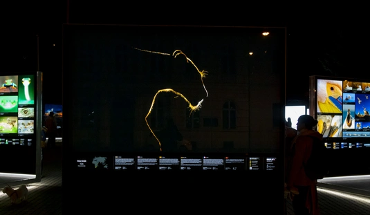 A láthatatlan természetfotós kiállításmegnyitó  