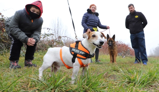 Nyílt nap az Állategészségügyi telepen 