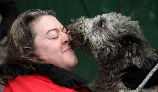 Nyílt nap és adománygyűjtés az Állategészségügyi Telepen 