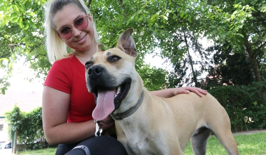 Nyílt nap az Állategészségügyi Telepen 