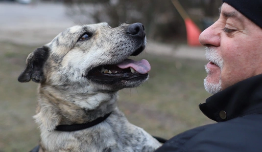 Nyílt nap az Állategészségügyi telepen 