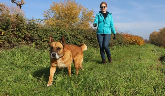 Nyílt nap az Állategészségügyi Telepen 