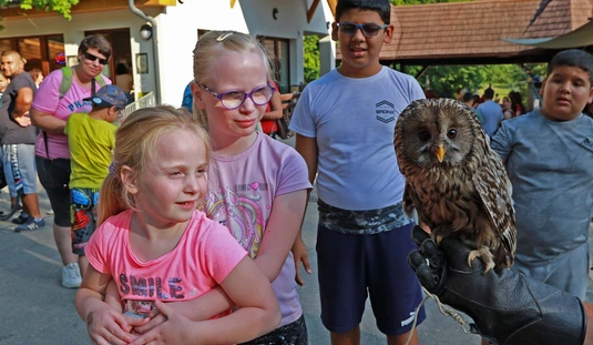 Áloméj az állatkertben 