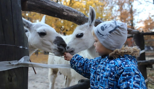 Halloween a Miskolci Állatkertben 