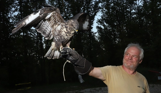 Állatkertek éjszakája 