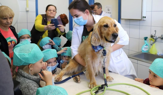 Óvodások jártak a Miskolci Állatkórházban 