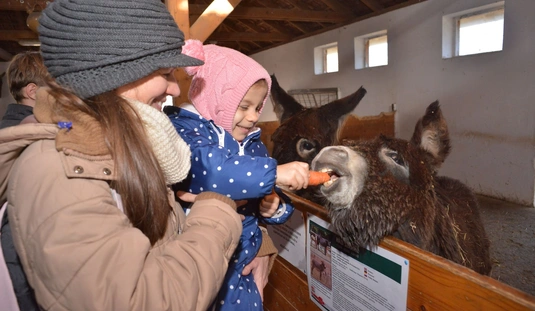 Állatok karácsonya a miskolci Állatkertben 