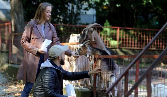 Állatok világnapja 