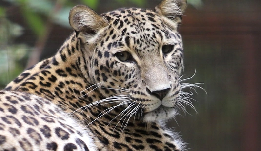 Állatok Világnapja a Miskolci Állatkertben 