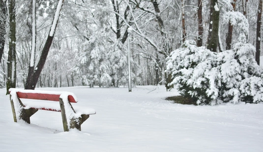 Cziffra Andrea képgalériája 