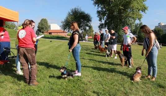 Avas Szépe kutyaszépségverseny 