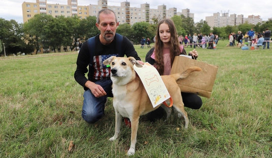 Avas Szépe kutyaszépségverseny 