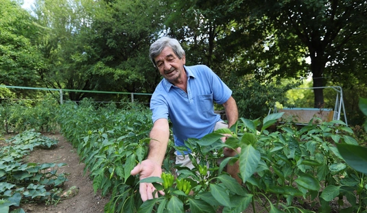 Közösségi kert az Avasi Arborétumban 