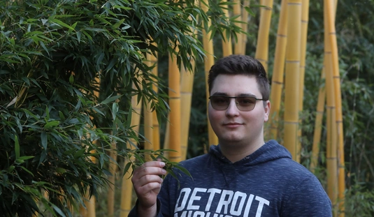 Bambuszerdő a kertben 