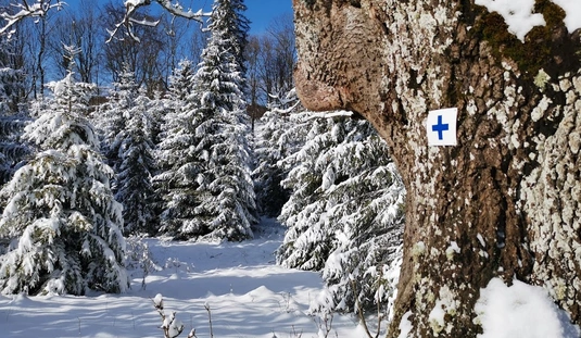 Fotók: Nagy Norbert 