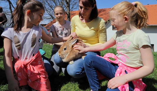 Nyuszisimogató a Baráthegyi Majorságban 