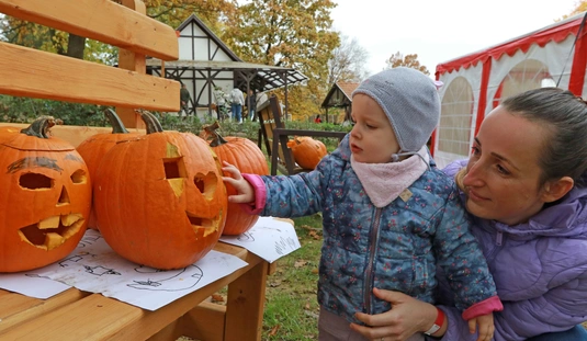 Tök jó szombat a Baráthegyi Majorságban 