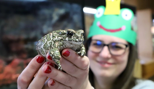 Első Miskolci Békakiállítás és Béka Szépségverseny az állatkertben 