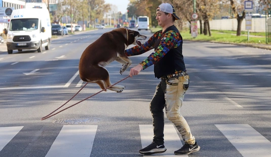 Balesetmegelőzési film forgatása a Hungária Nagyszirkusz állataival 