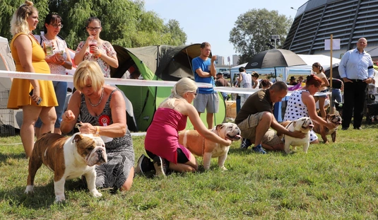 Marathon Dog Show 
