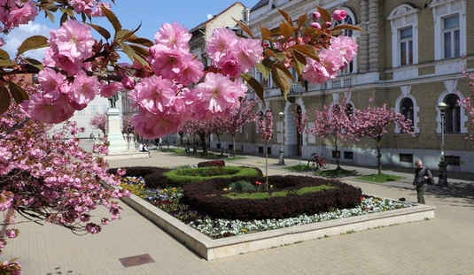 Virágba borult az  Erzsébet tér 