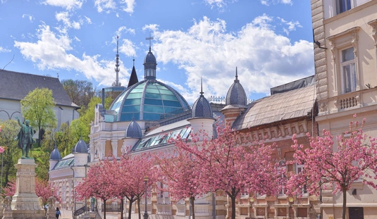 Erzsébet téri virágzás 