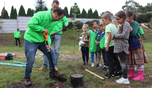 Facsemete ültetés a Görömbölyi Általános Iskolában 