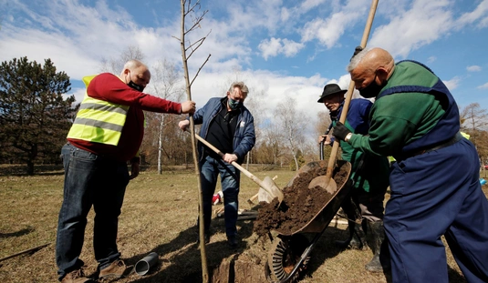 Rotary faültetés a Hejő ligetben 