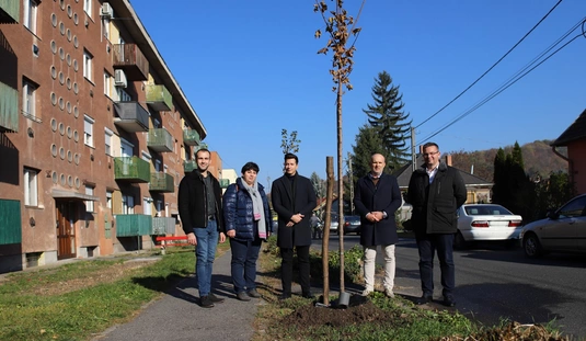 Faültetés a Tátra és Torontáli utcán 