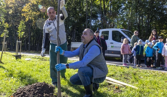 Faültetés a Szentpéteri kapuban 