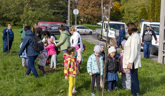 Faültetés a Vologdán 