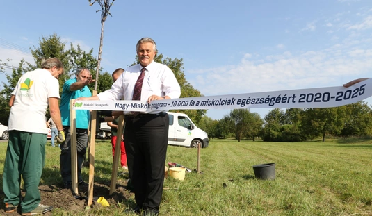 Öt év alatt tízezer fát ültetnek Miskolcon 