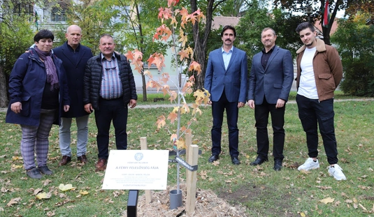 A férfi felelősség fájának ültetése a Deák téren 